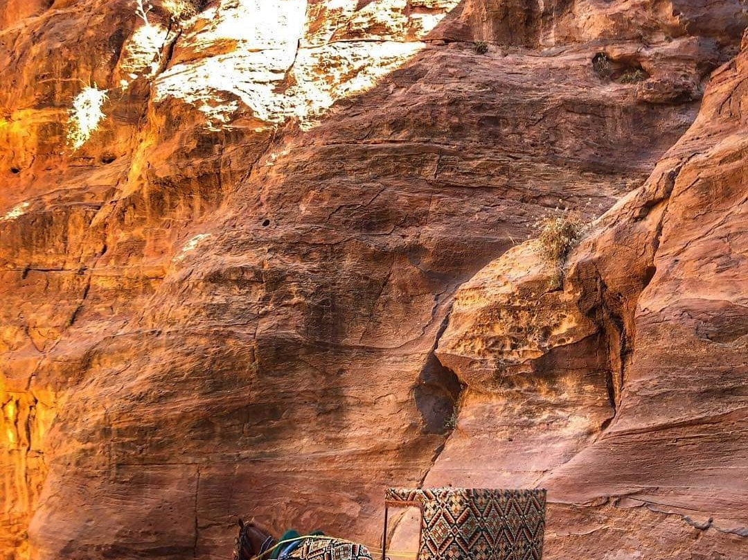 Lost City of Petra-佩特拉必去景点