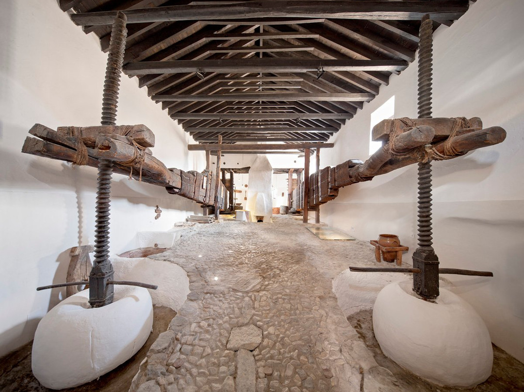 Almazara La Erilla, OleoTurismo en Granada景点图片