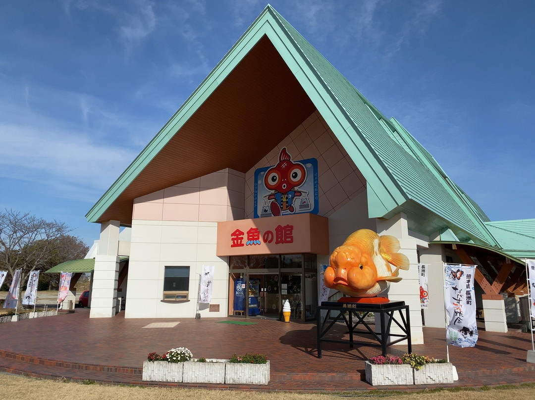 Kingyoto Koino Satohiroba-长洲町必去景点