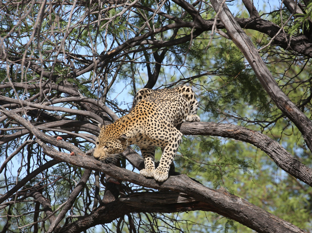 Dusternbrook Guest Farm-温德和克必去景点