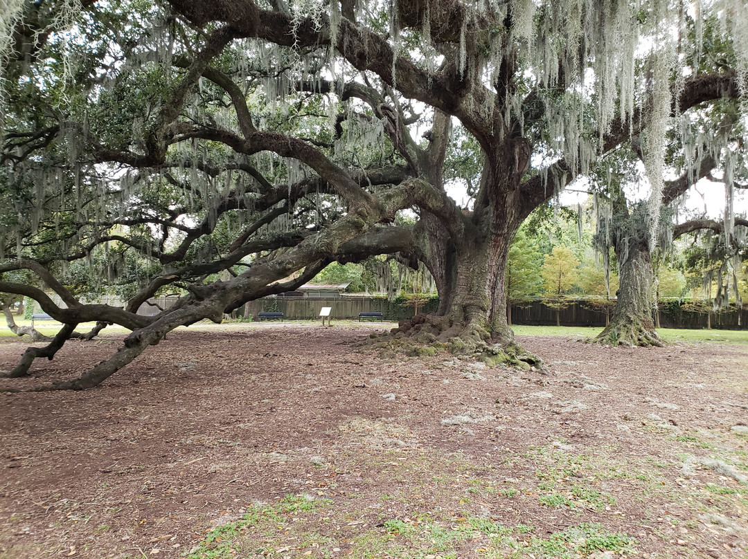 奥杜邦公园-新奥尔良必去景点