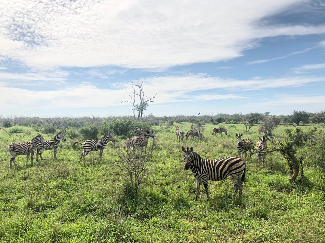 Explore Kruger Safaris-玛洛斯帕克必去景点