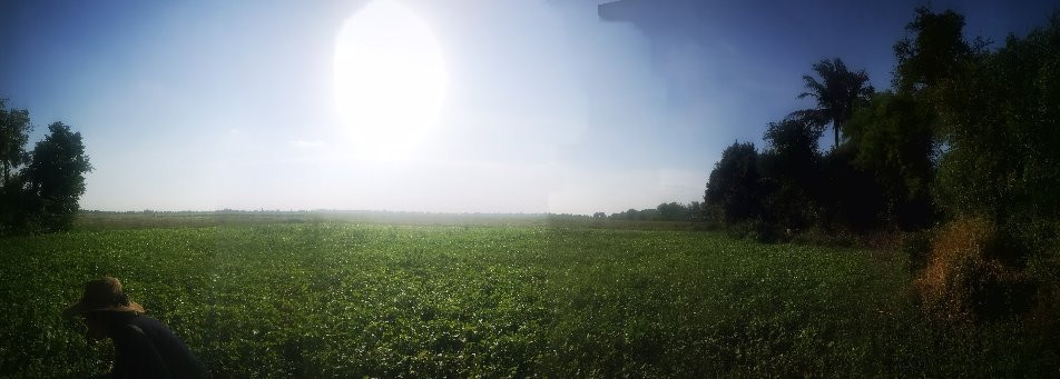 Cheung Kok Village-磅湛必去景点