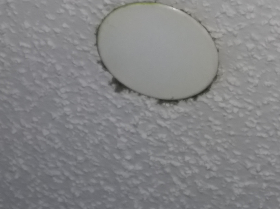 Microtel Inn & Suites by Wyndham Joplin主图