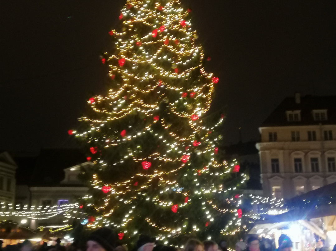 Food Sightseeing Estonia-塔林必去景点