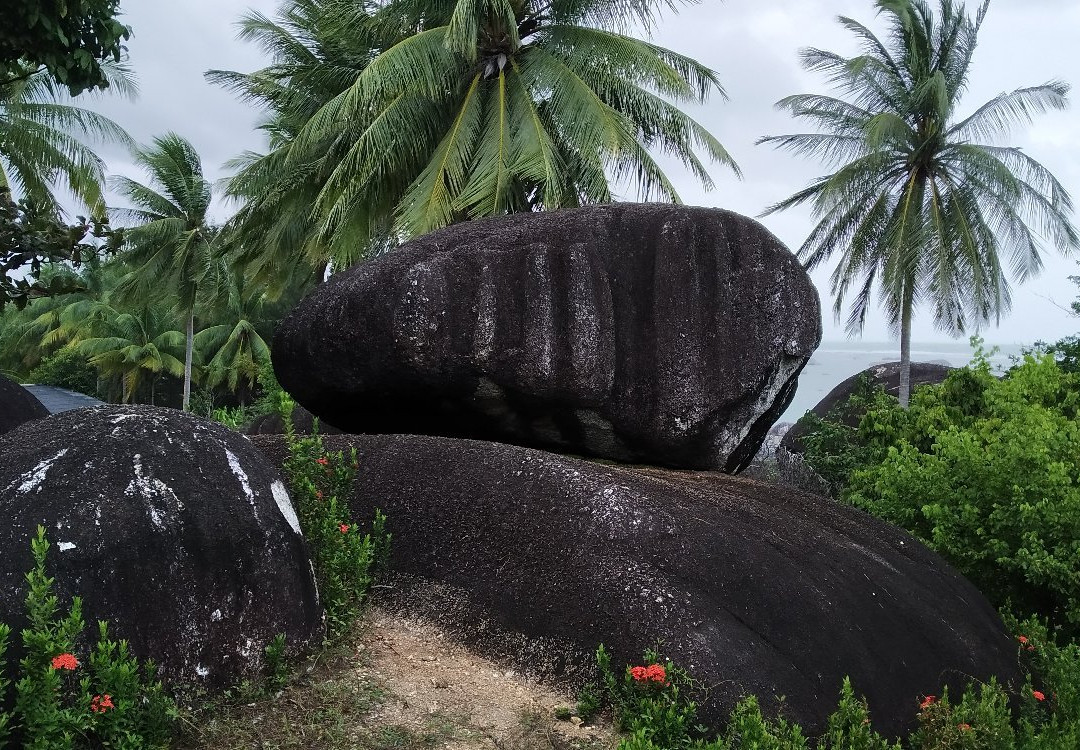 De Best Hotel Natuna主图