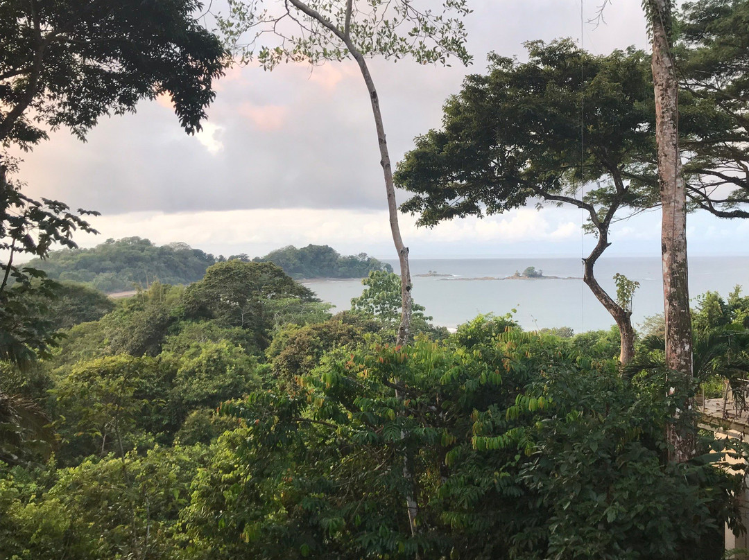 Dominicalito Beach景点图片