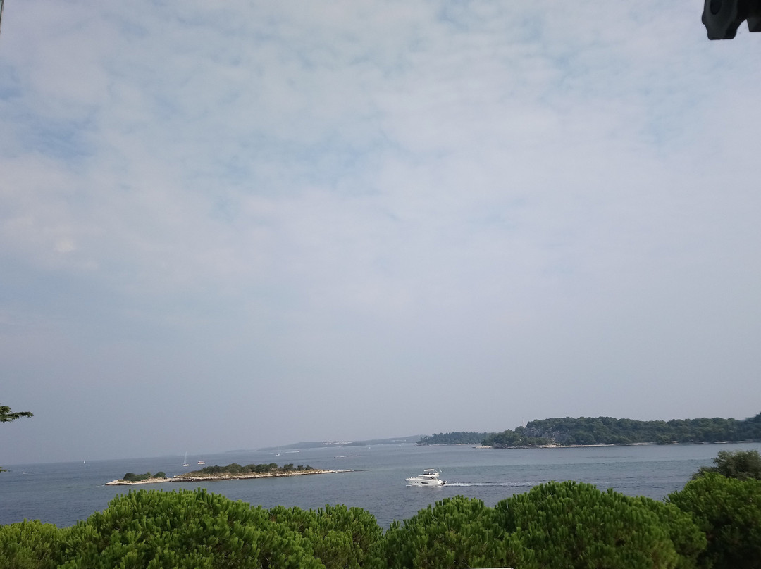 Maistra Select Island Hotel Istra主图