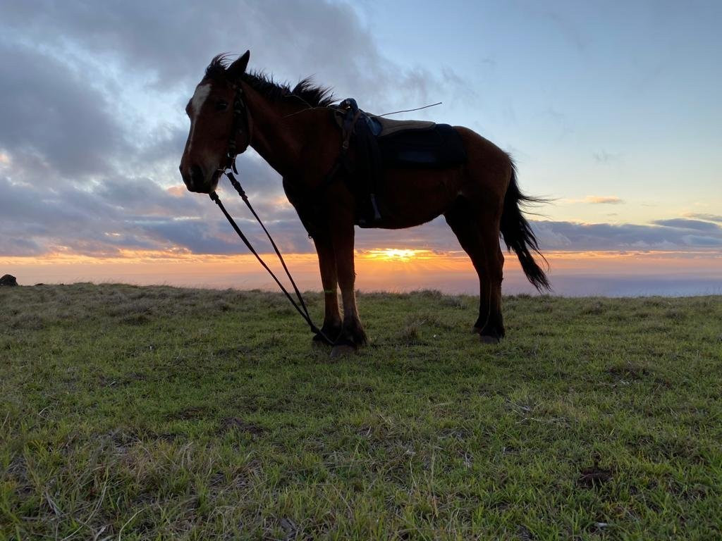 Adventure Terevaka-安加罗阿必去景点