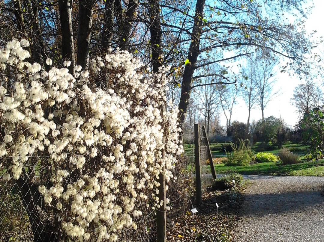 Botanical Garden Of University Of Maribor-马里博尔必去景点