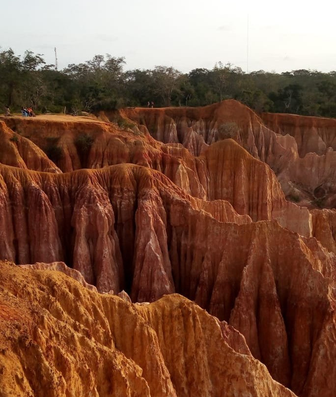 Kenya Safari Jambo-瓦塔木必去景点