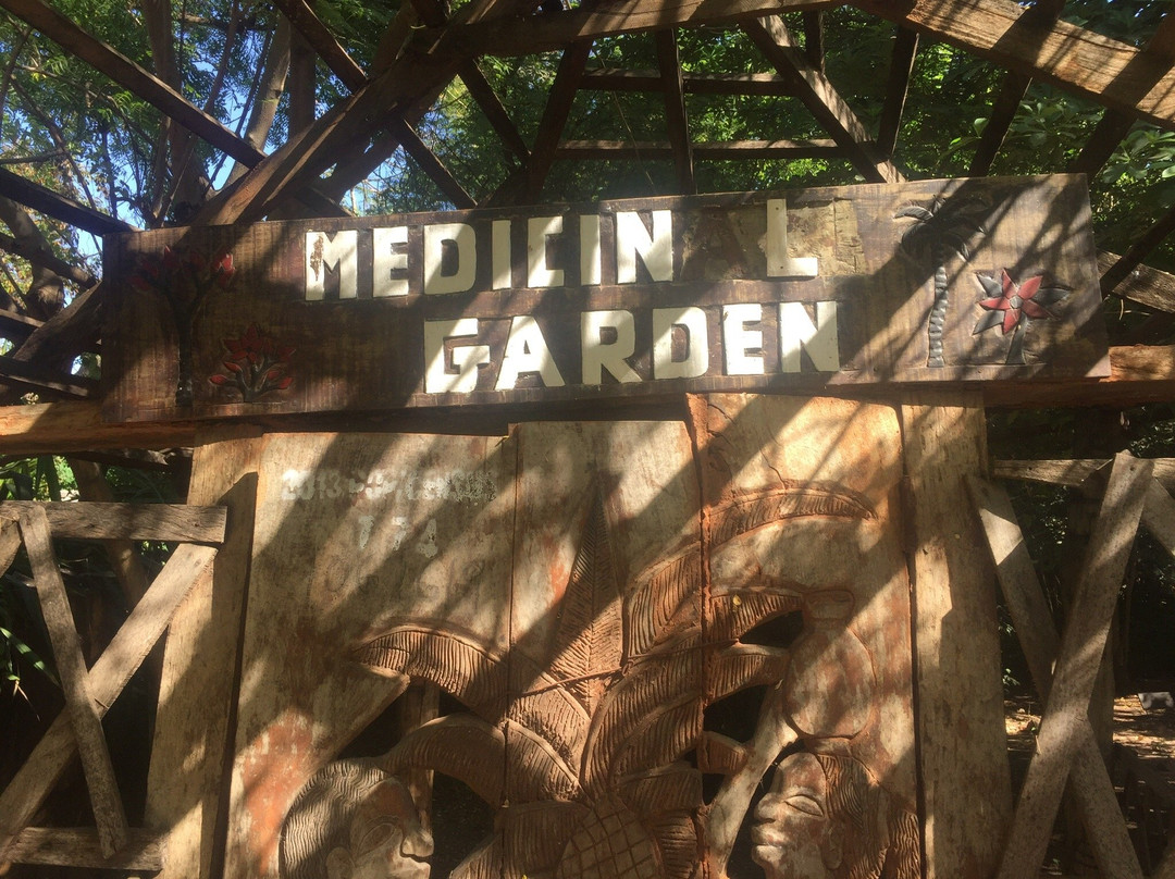 Bakau's Botanical Gardens景点图片