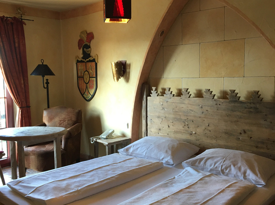 Castle Hotel Castillo Alcazar主图