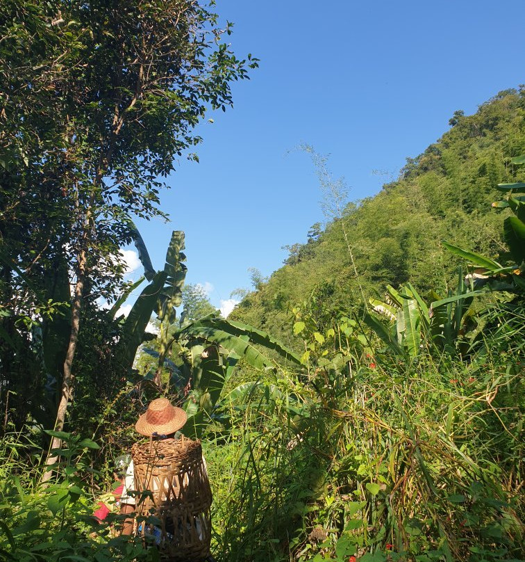 Hsipaw Trekking Myanmar-西保必去景点