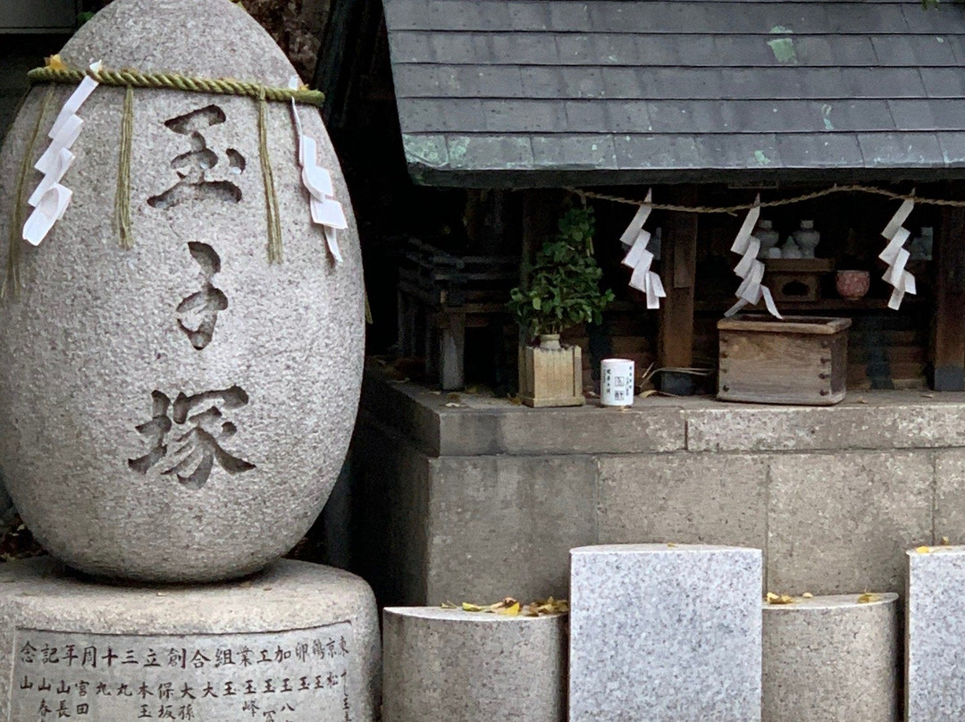 Namiyoke Inari Shrine景点图片