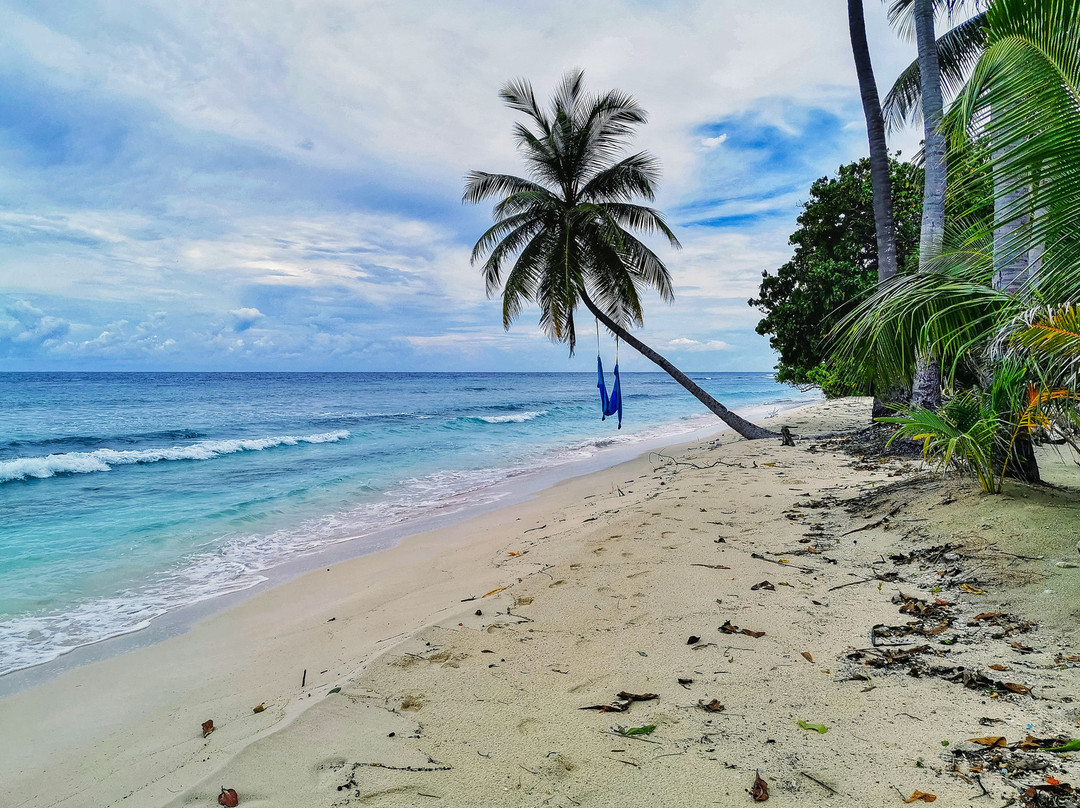 Maclura Residence主图