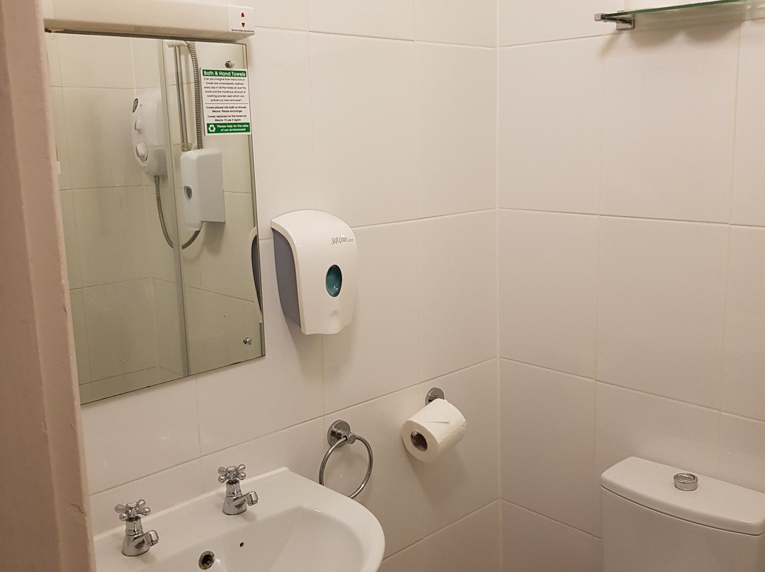 The Dolphin Hotel主图