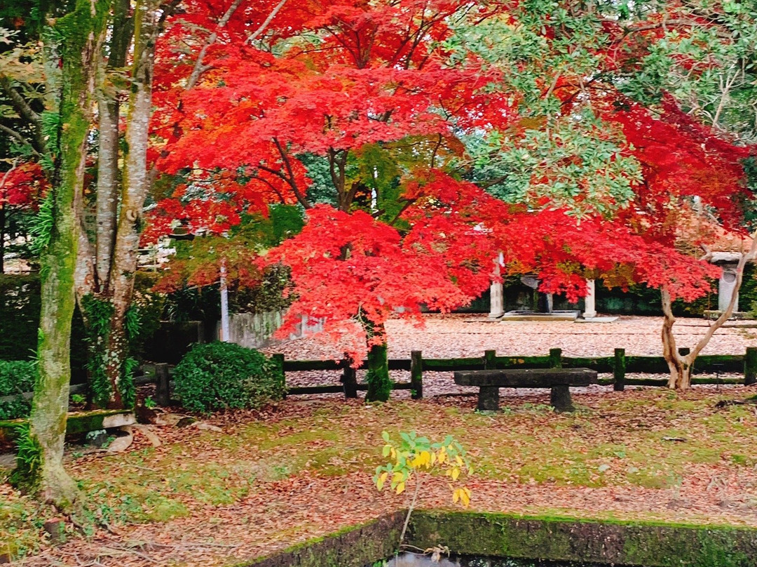 Hayamizu Park景点图片