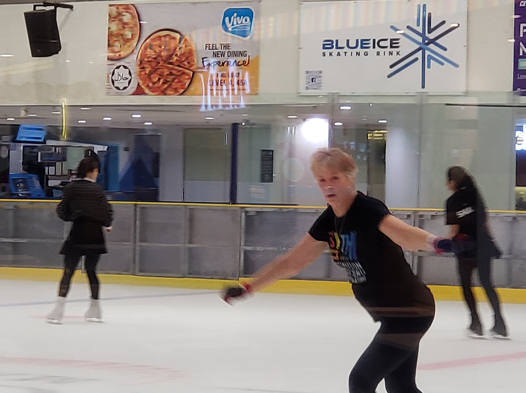 Blue Ice Skating Rink景点图片