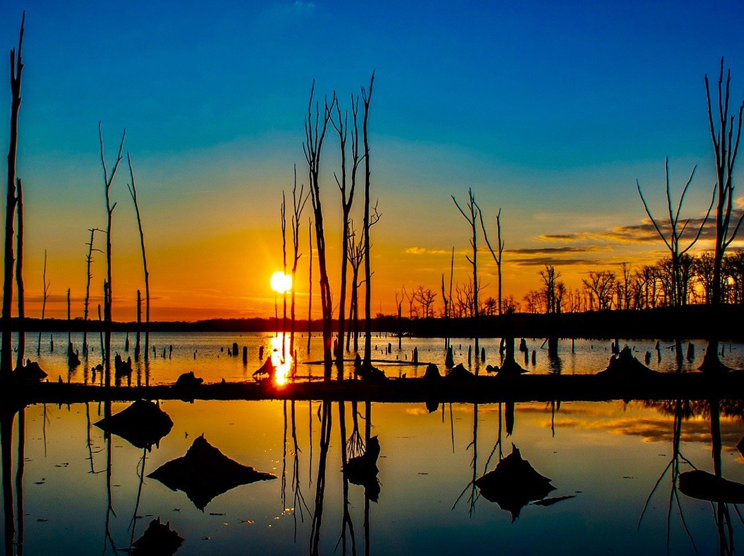 Manasquan Reservoir Visitor Center景点图片