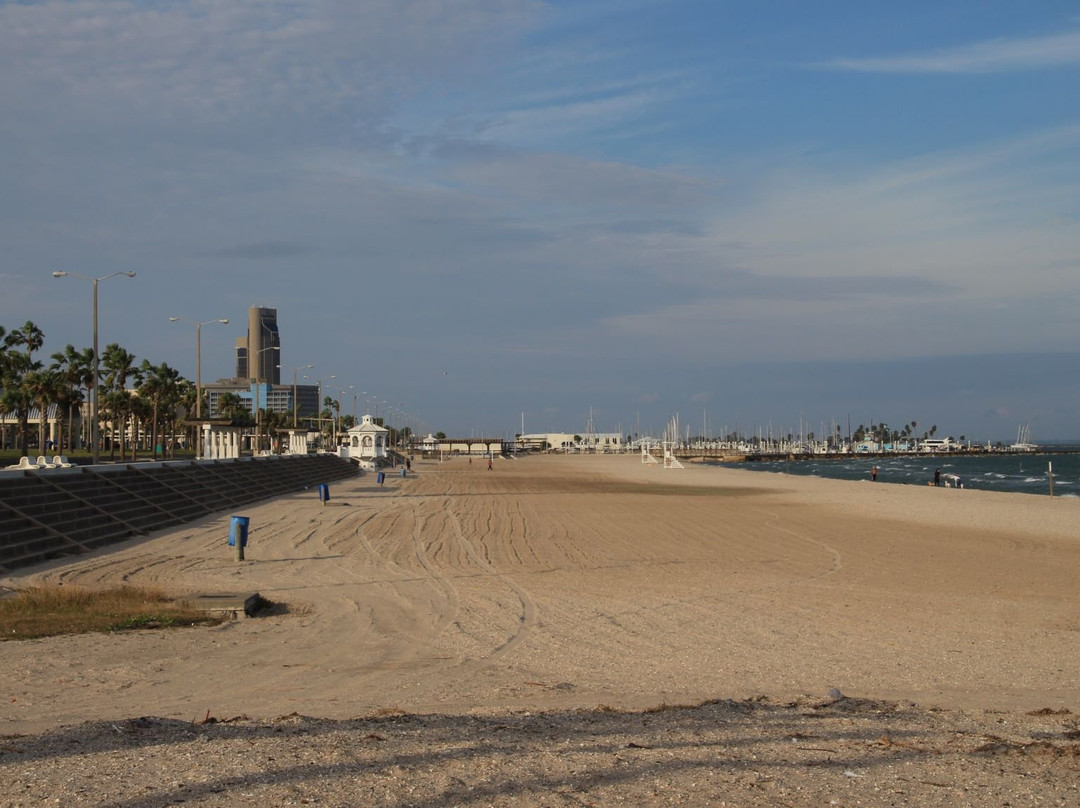 McGee Beach-科珀斯克里斯蒂市必去景点