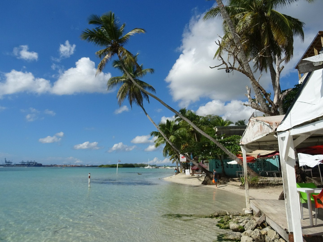 Casa Picadilly主图