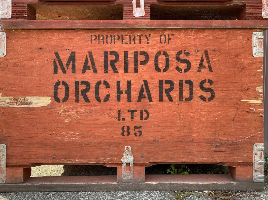 Mariposa Fruit Stand景点图片