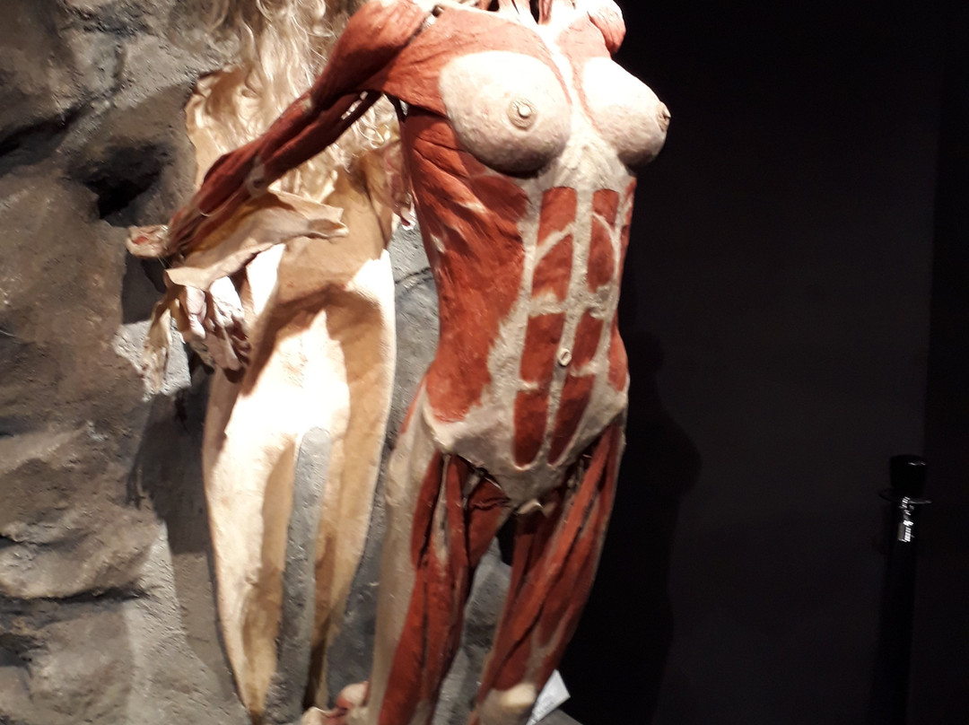 达姆拉克街-阿姆斯特丹必去景点