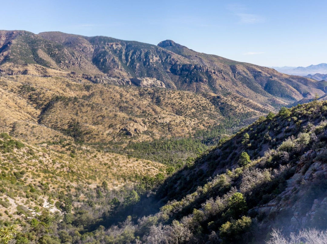 Bonita Canyon Drive景点图片
