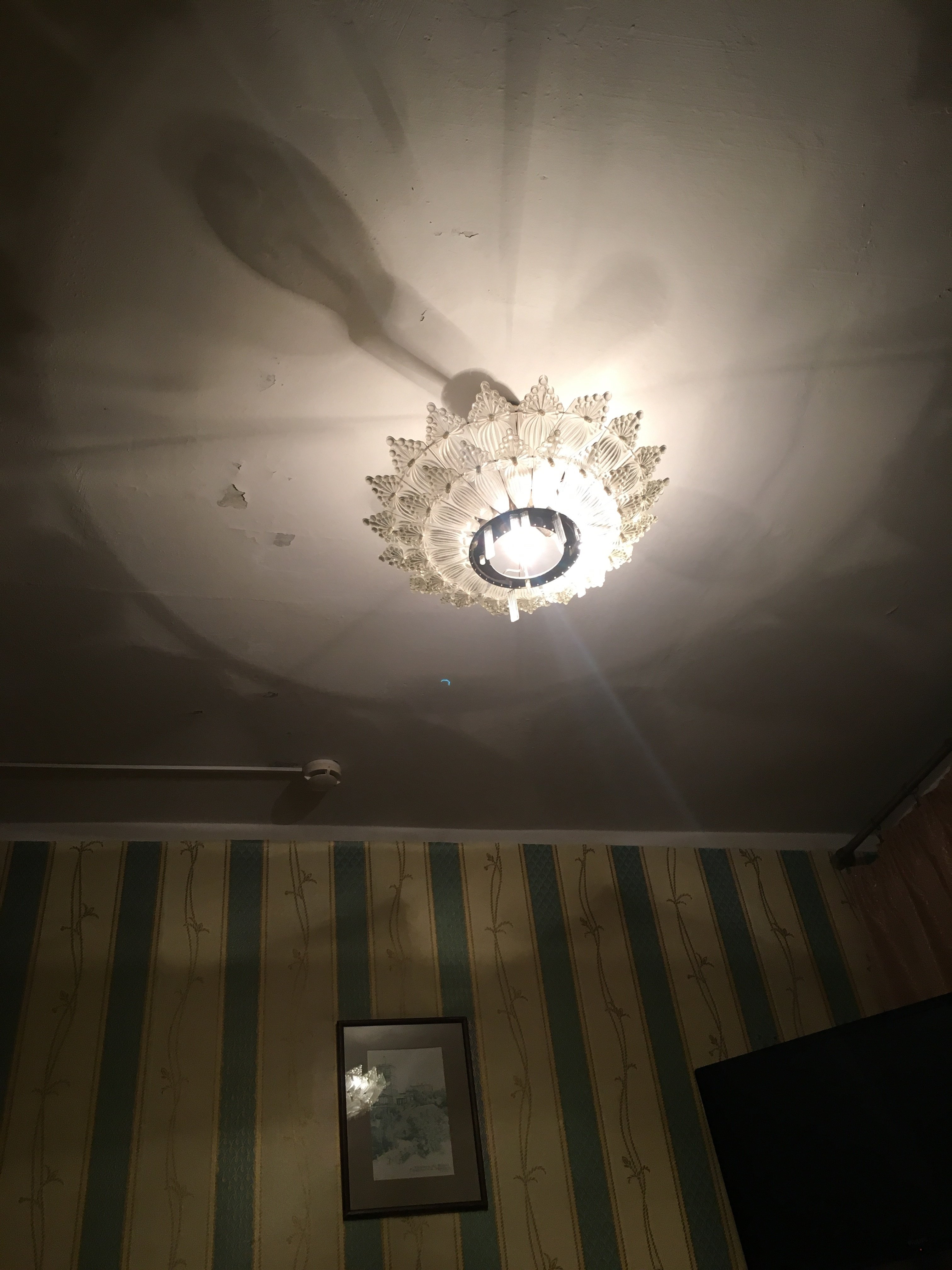 Gomel Hotel-官方