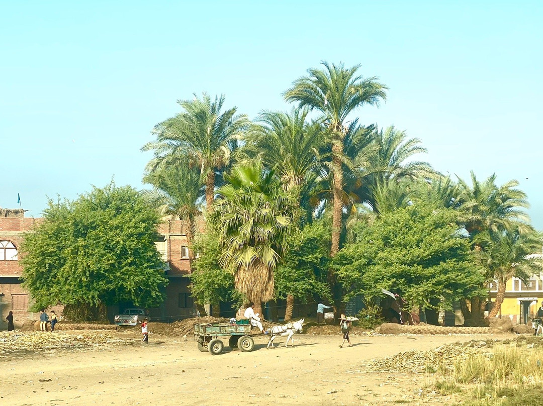 El Ashmunein-Mallawi必去景点