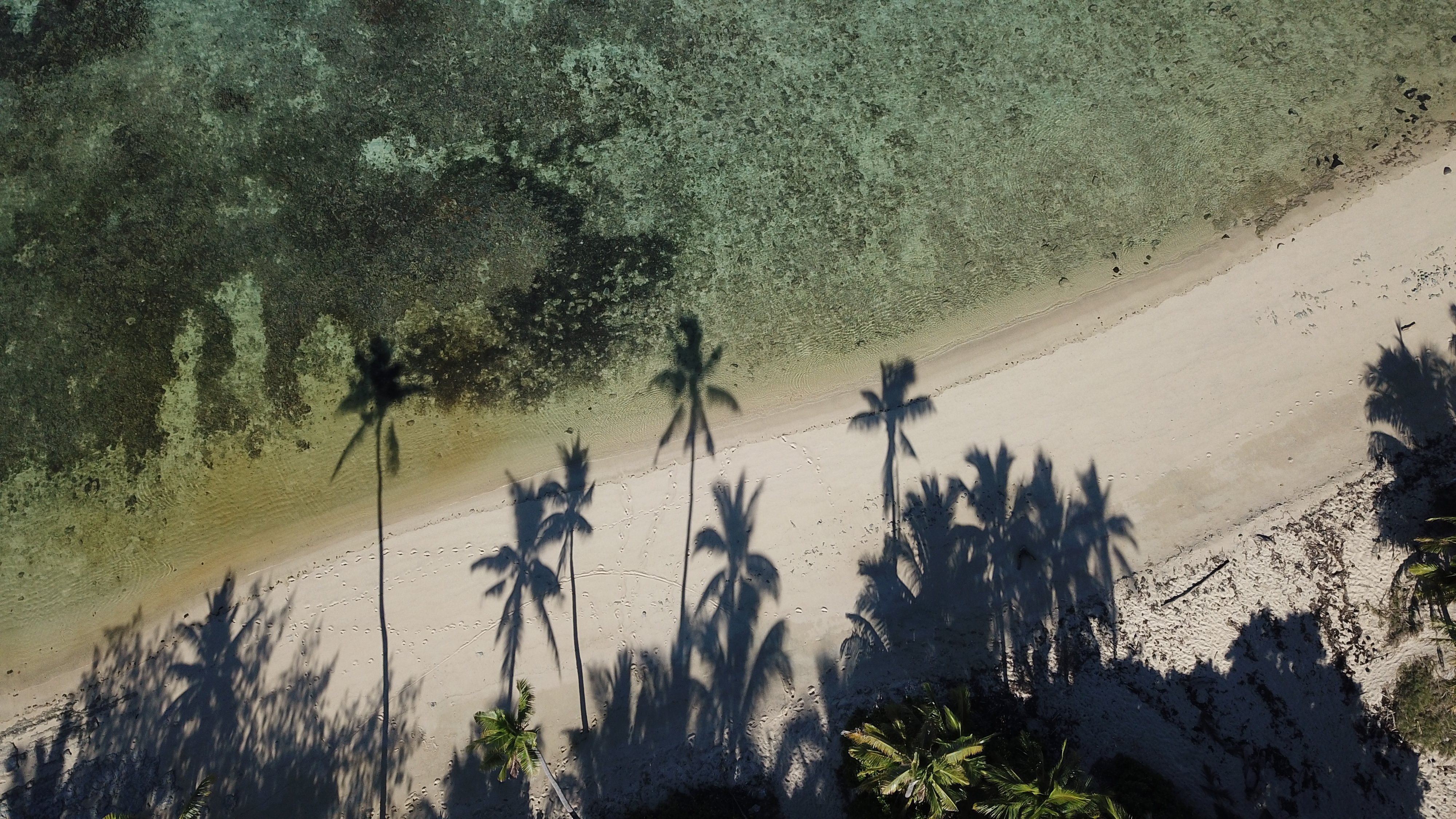 Safari Island Lodge-泳池