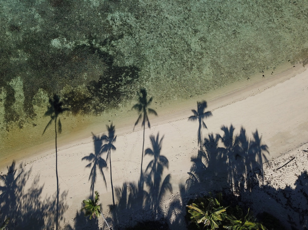 Safari Island Lodge主图