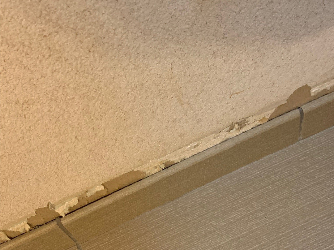 Comfort Inn Camp Verde - I-17 Exit 287 Arizona 260主图