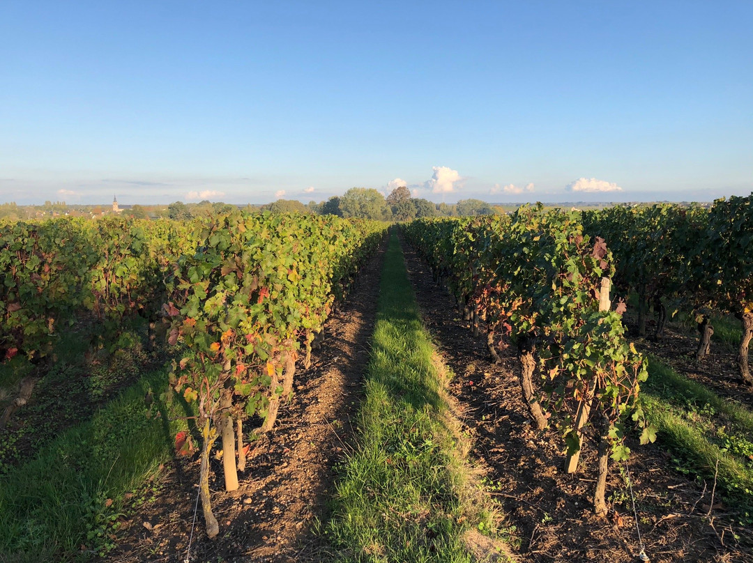 Domaine des Gauliers主图