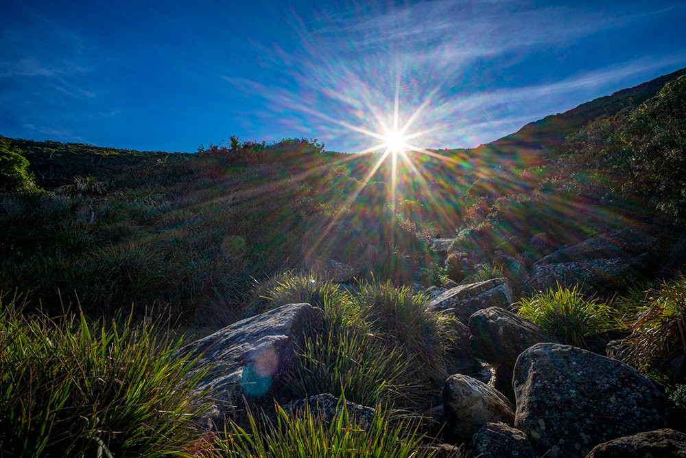 Werrong Beach-Royal National Park必去景点