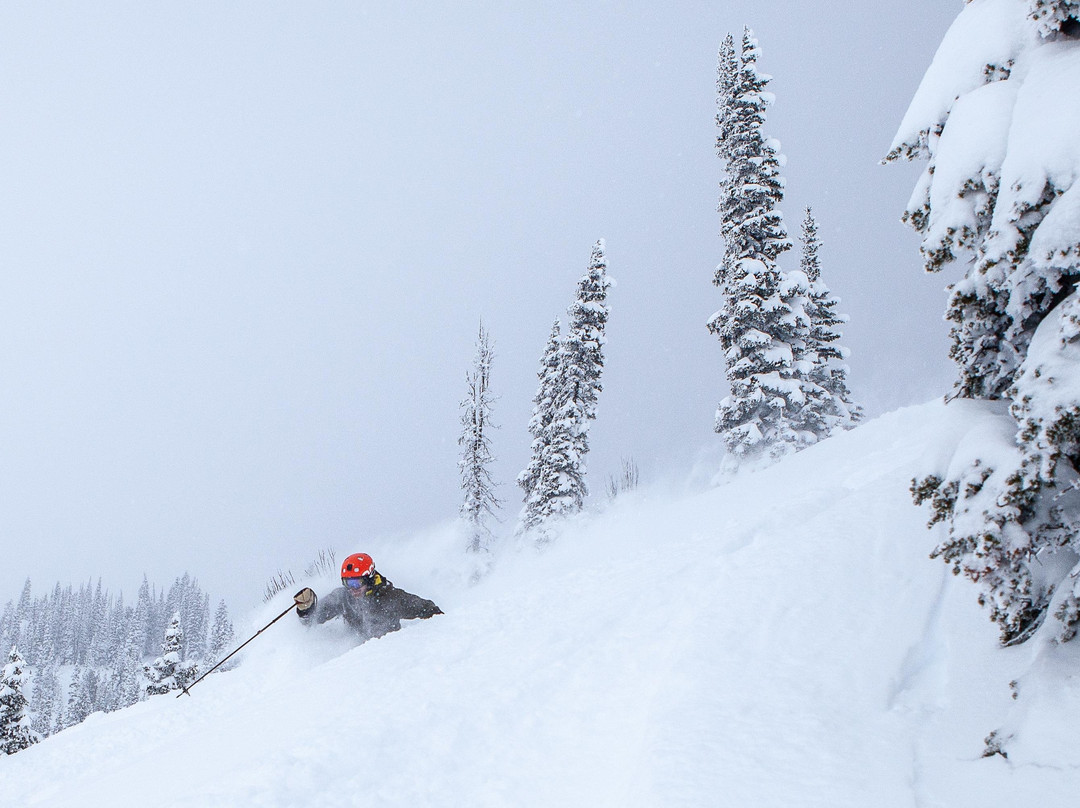 First Stop Board Barn | Ski, Snowboard, Bike, and Paddle Shop-基灵顿必去景点