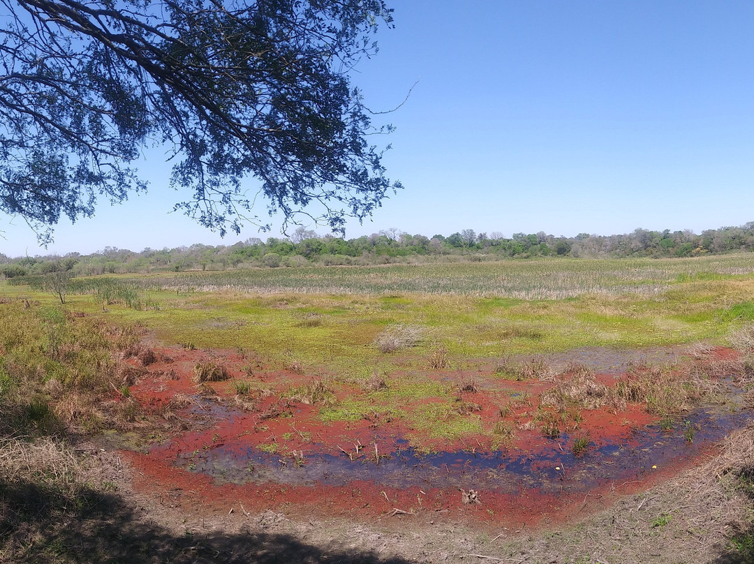 Parque Nacional Chaco景点图片