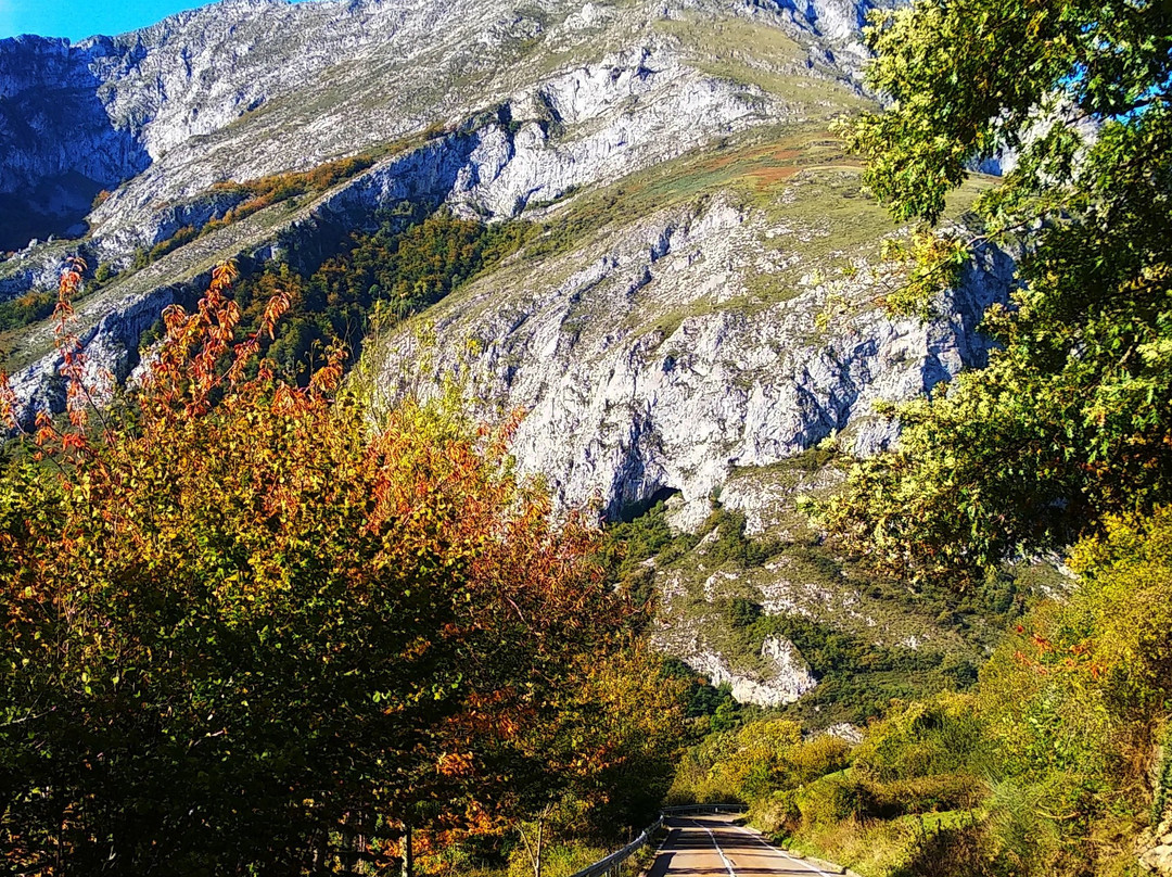 Desfiladero de Los Beyos-Amieva必去景点