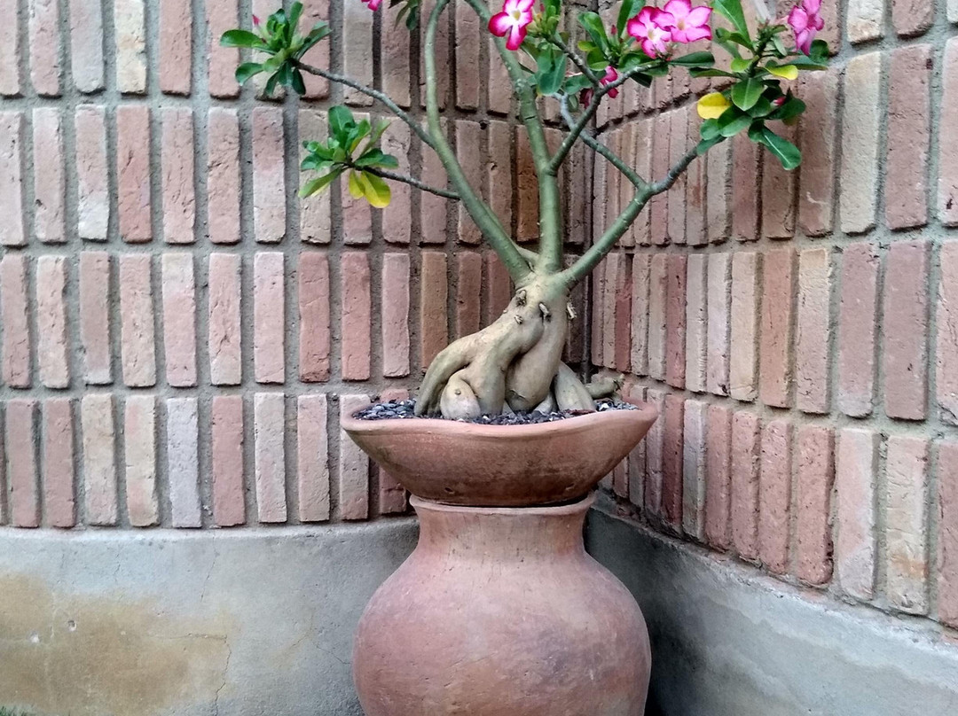 Pousada Casa de Maria主图