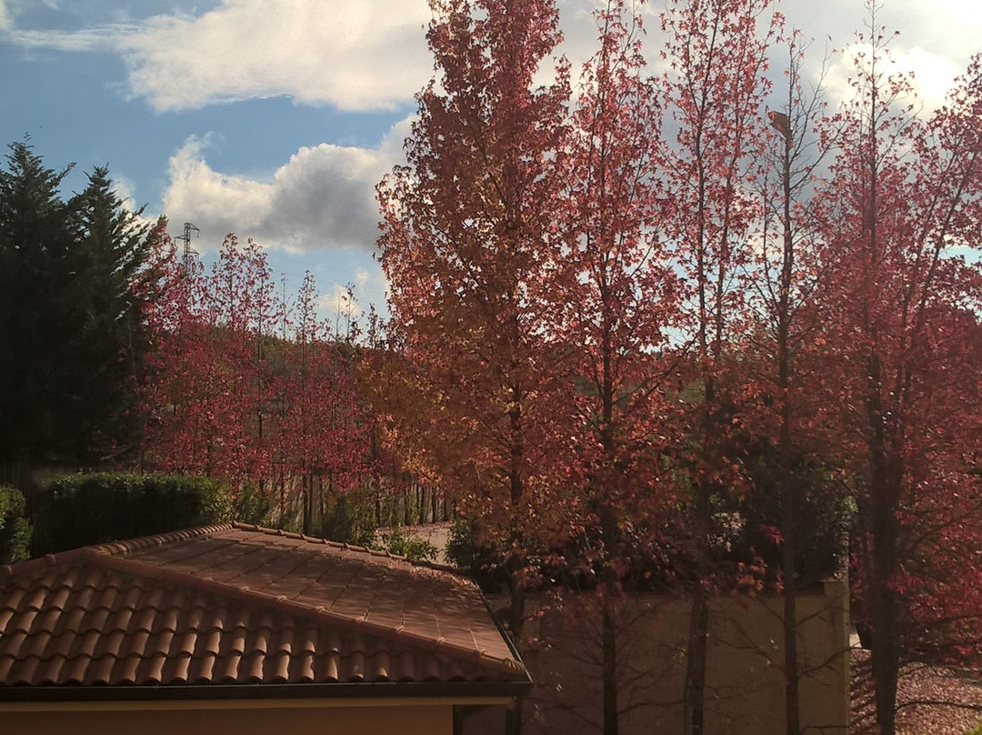 黎莱斯拉法托丽雅酒店主图