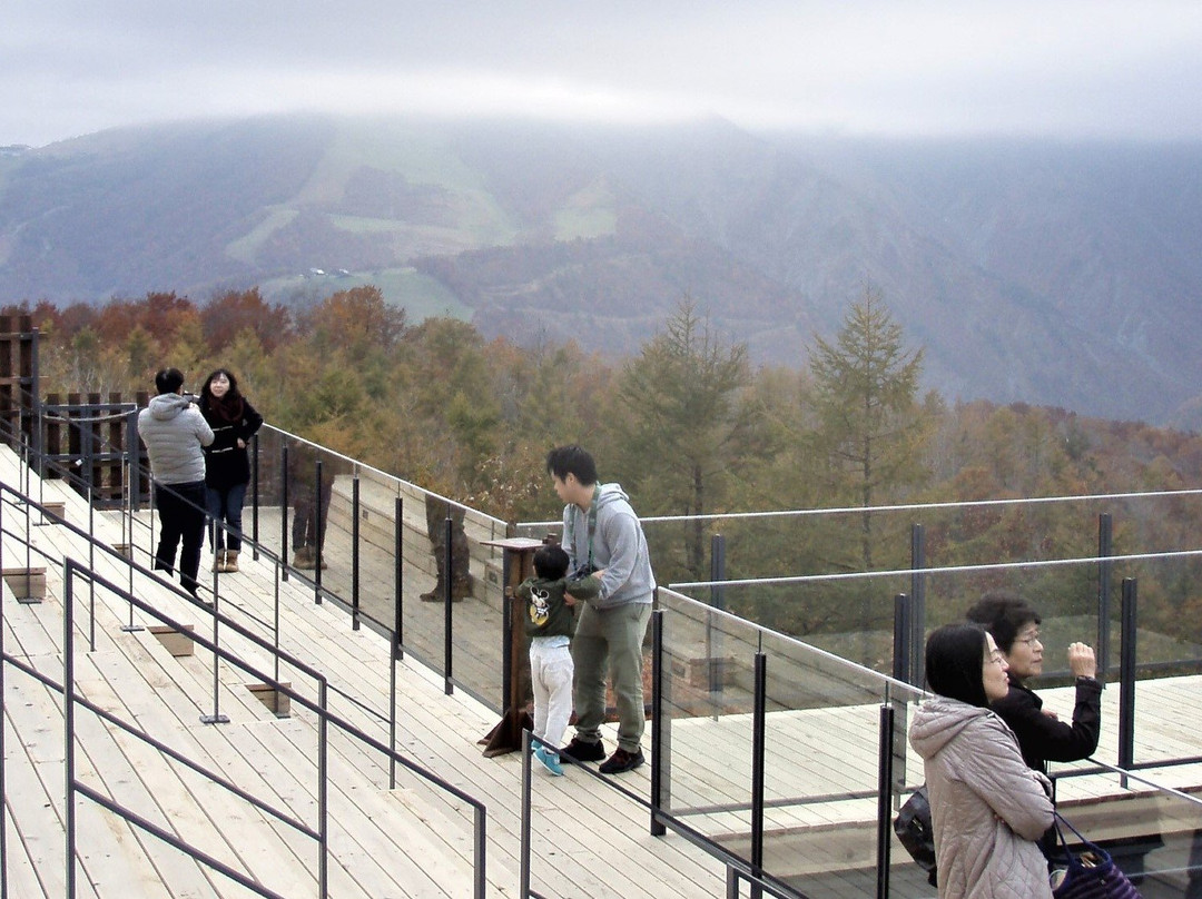 Hakuba Mountain Harbor景点图片