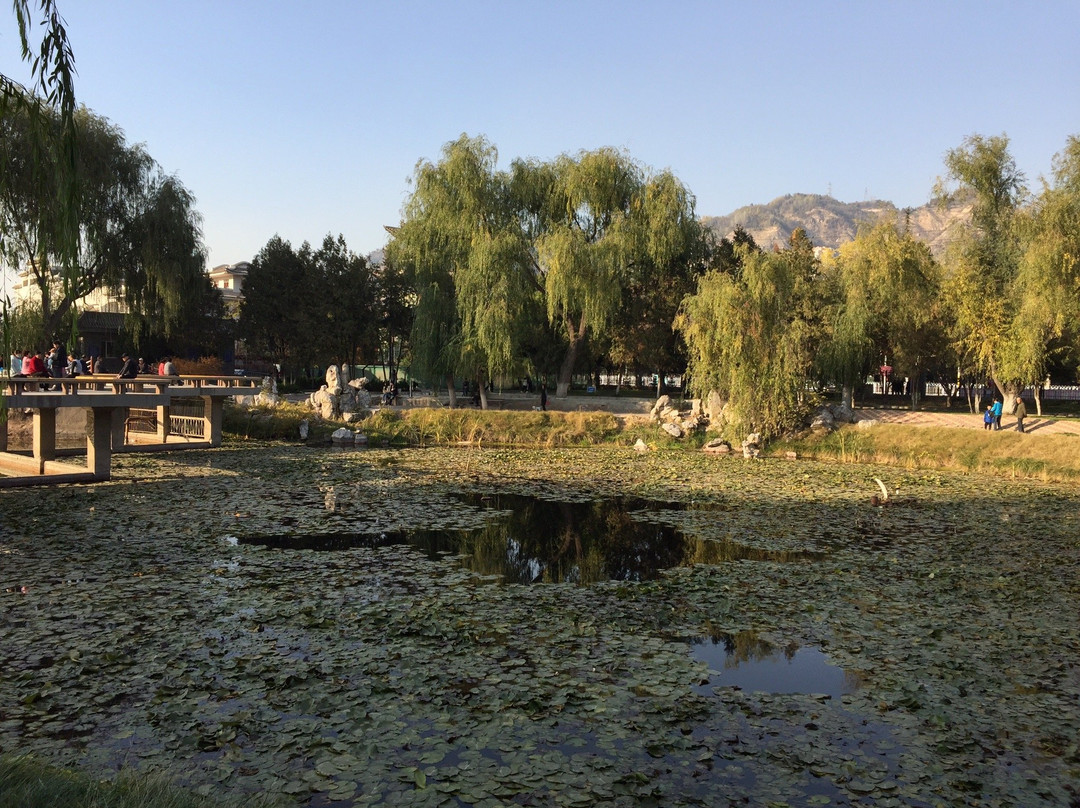 兰州小西湖公园景点图片
