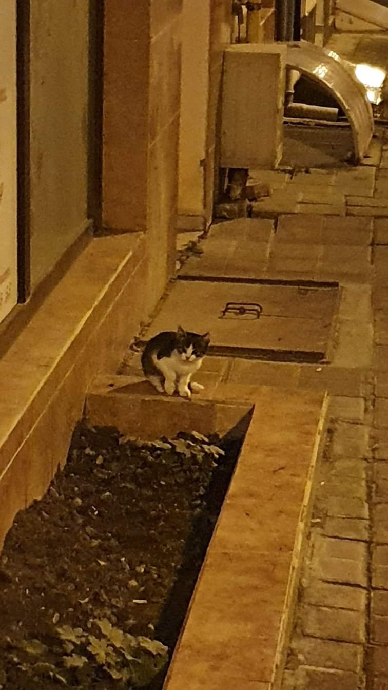 Hotel Priyateli-官方