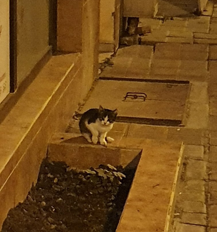 Hotel Priyateli主图