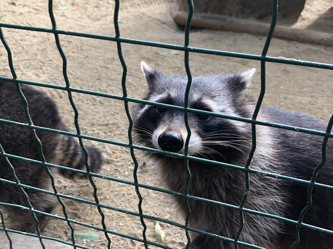 Wildpark Schloss Ortenburg景点图片