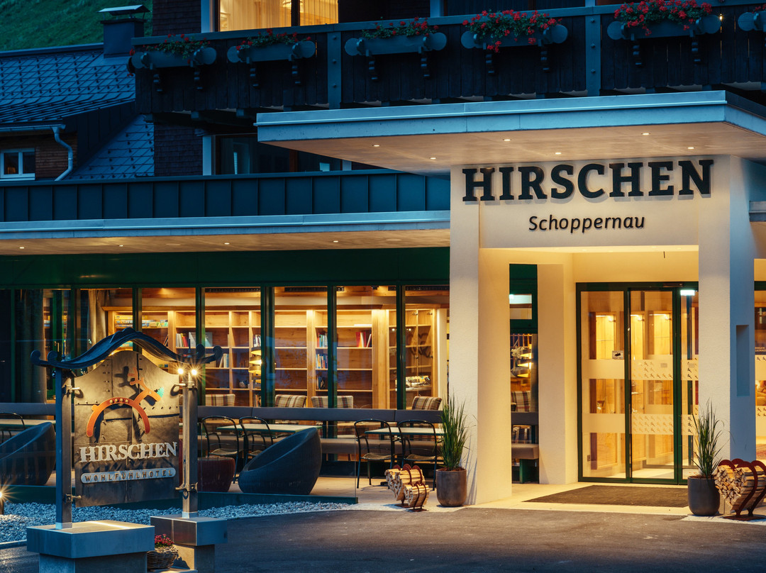Hirschen Wohlfuhlhotel主图