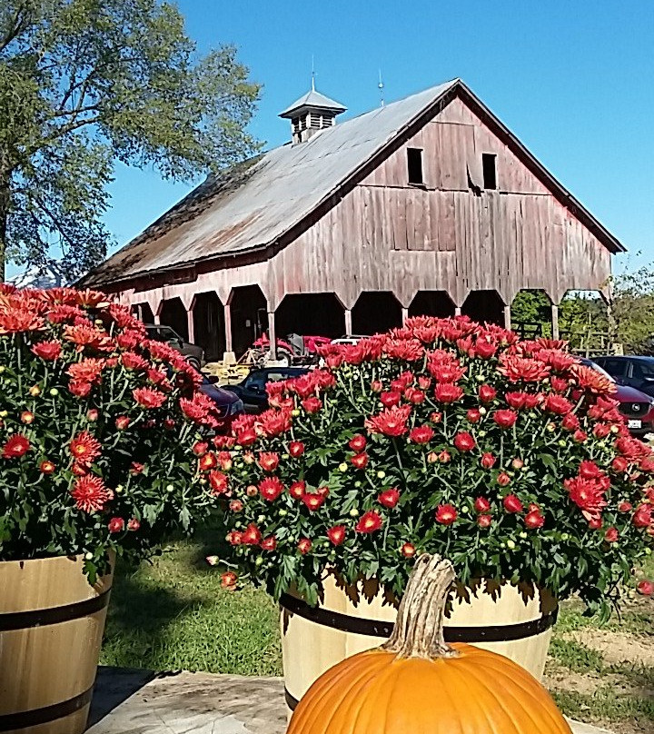 Lake Creek Winery景点图片