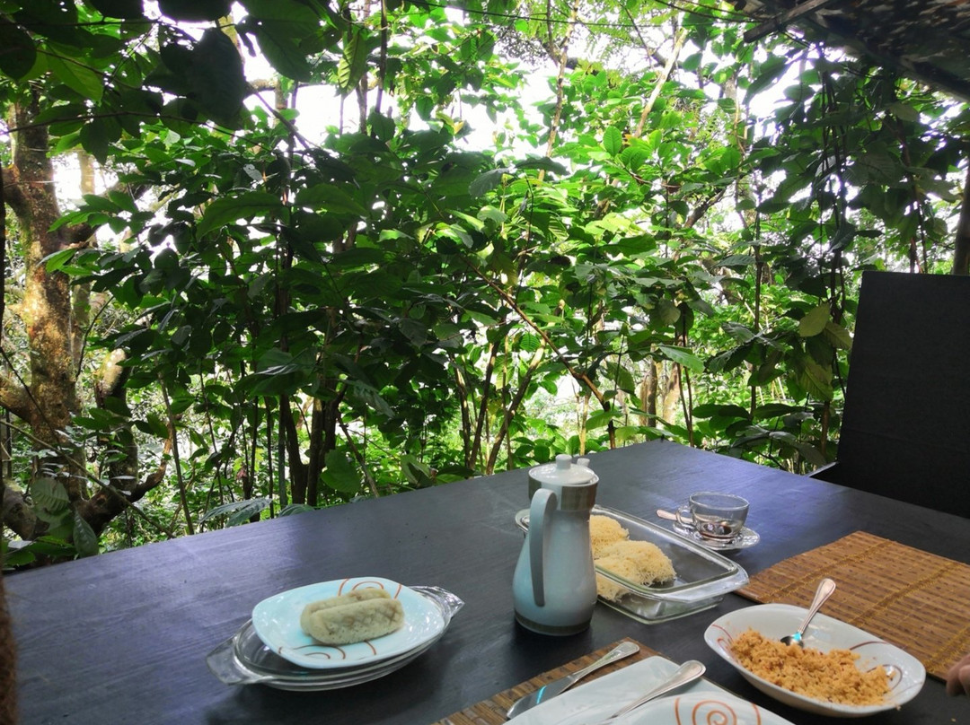 Glass Rooms Accommodations Adam's Peak主图