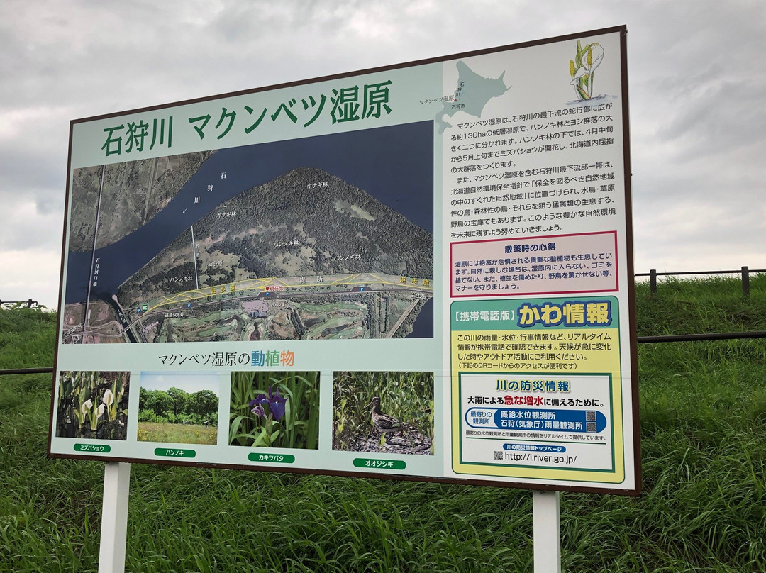 Makumbetsu Marsh-石狩市必去景点